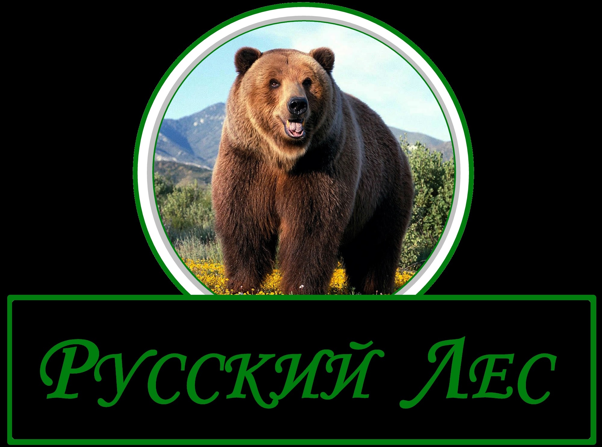 jZAq2YVGshxKwpjAXcYXW2hvAKMmsLIerQOneZ6vc-3GNh0ze4UEuXFkeBBd4inXgyuDzDrrqCHAtZTfM6soREl7 (1)